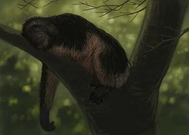 Meganthropus