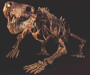 InostranceviaFosil.jpg (59 kB)