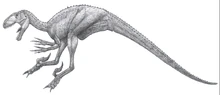 Noasaurus1