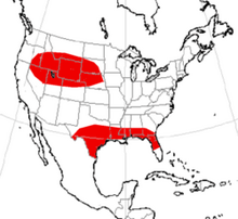 Nanotragulus range