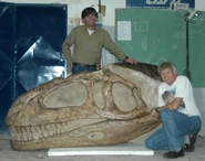 MApu cráneo.jpg (121 kB)