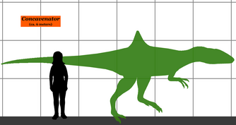 Concavenator SIZEhhhhh.png