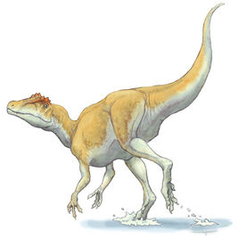 Deltradromeus123