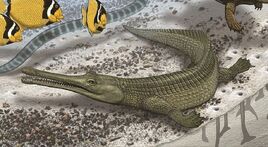 Rhabdognathus