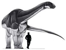 Abrosaurus