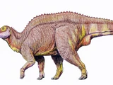 Barsboldia