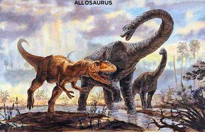 Allosaurus (2)
