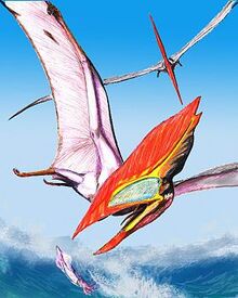 Thalassodromeus DB
