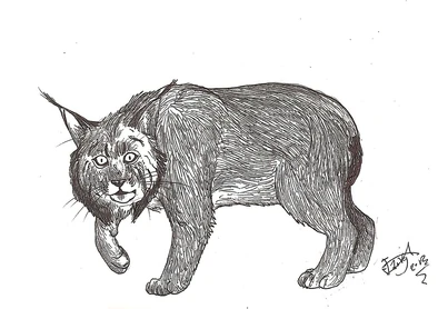Cave lynx by hodarinundu-d5zj20x
