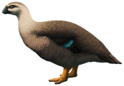 Imagedfg