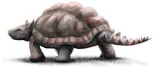 Niolamia argentina