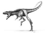 Raptorex 02