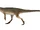 Dracovenator