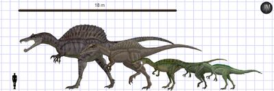 Comparación de tamaño entre: ,,, y .