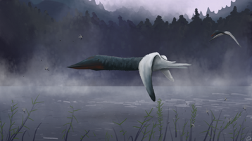 1280px-Azhdarcho pair