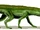 Gracilisuchus