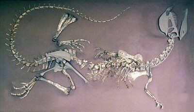Dilophosaurus esqueleto.jpg
