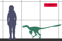 Crédito: Conty en Wikipedia Commons.