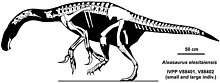 Alxasaurus elesitaiensis
