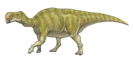 Altirhinus