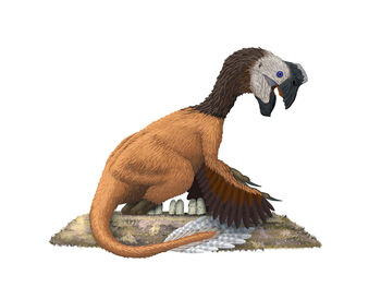 Oviraptor-0