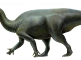 Iguanacolossus