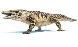 Megalania