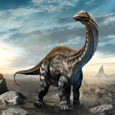 diferente conjunción vena Brontosaurus | Prehistoria Fandom | Fandom