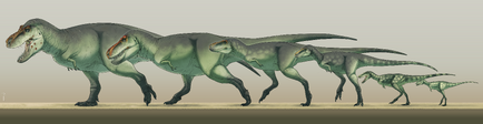 Growing up cretaceous by r heinart dcn556l