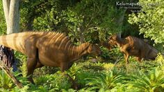 Créditos: Christopher Chávez.