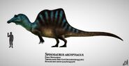 Spinosaurus by prehistorybyliam dcxkiqq-pre