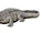 Crocodylus anthropophagus