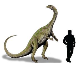 Massospondylus2