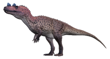 Ceratosaurus Infobox