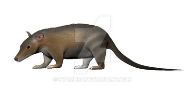 Herpetotherium