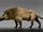 Andrewsarchus