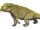 Simosuchus