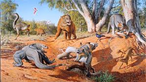 Australia habitat