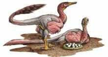 Dinosaurios Nido.jpg
