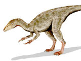 Compsognathus