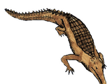 Gryposuchus