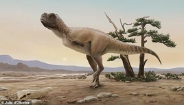 Kurupiitaata