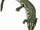 Collidosuchus