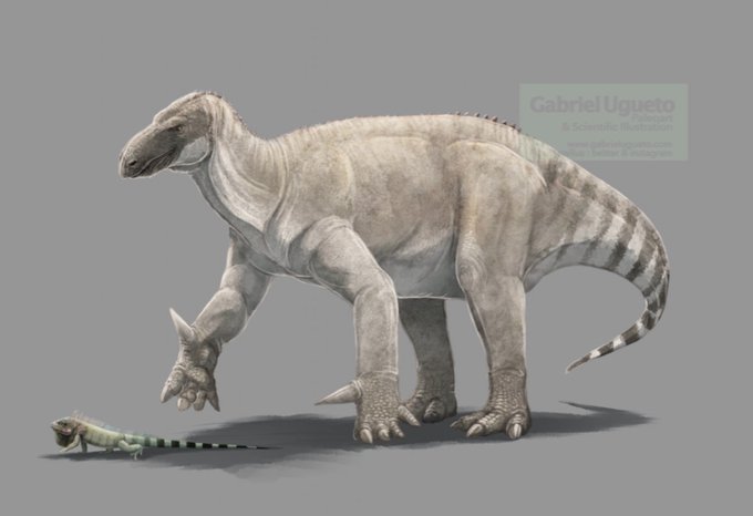 Iguanodon | Prehistoria Fandom | Fandom Iguanodon | Prehistoria Fandom | Fandom