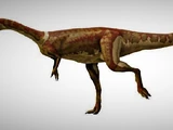 Masiakasaurus