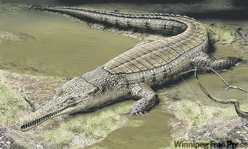 caimanes y cocodrilos prehistóricos
