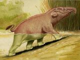Numidotherium