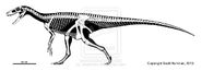 Herrerasaurus esqueleto