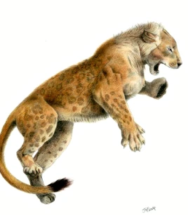 Panthera leo fossilis