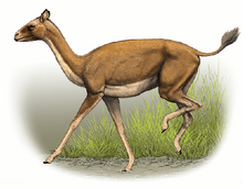 Imagen 1-1434585011.png